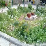 Thoma-is Apartment *