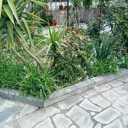 Thoma-is 아파트 *