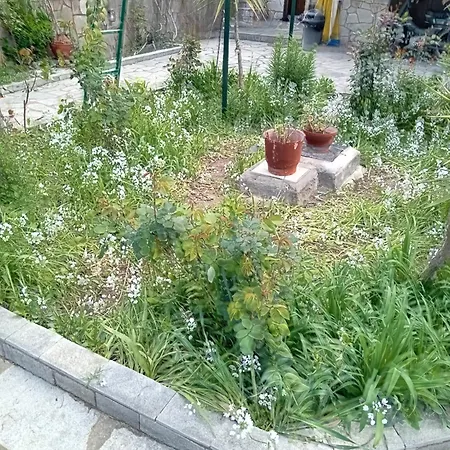 Thoma-is Apartment *