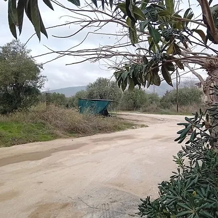 Thoma-is 아파트 *