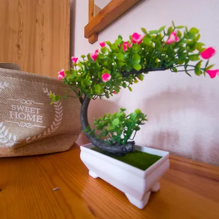 Thoma-is Apartment *