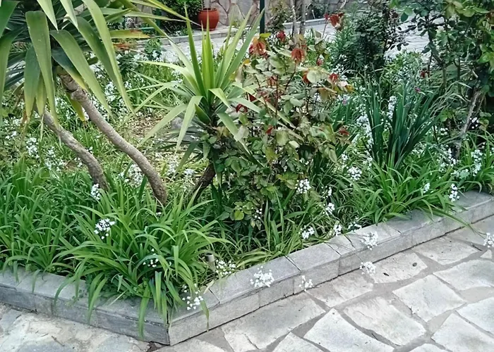 Thoma-is Apartment *