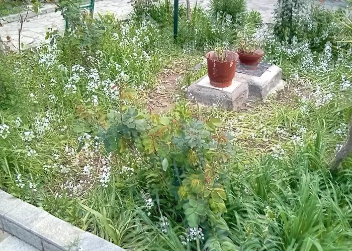 Thoma-is Apartament *