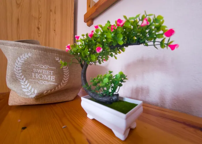 Thoma-is Apartament *